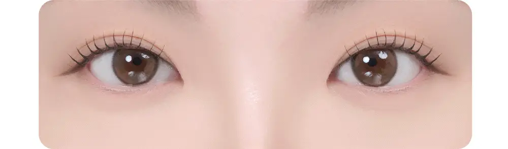 [NEW 애교살 전용] 페리페라 잉크 포켓 섀도우 팔레트 상세페이지 4
